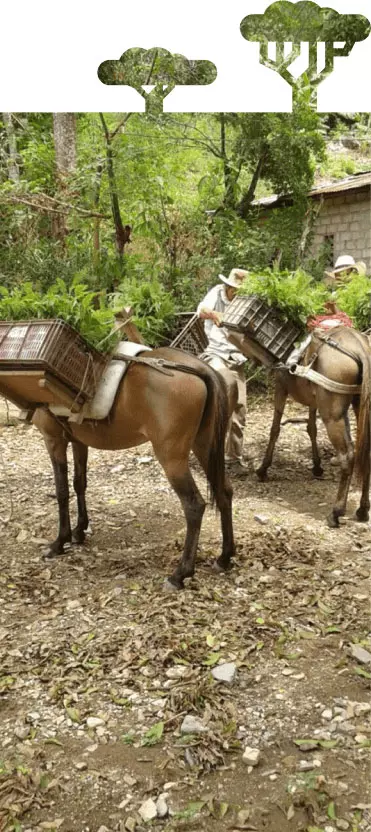 helping-with-sustainability